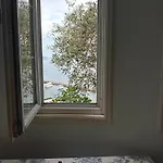 Katias فيلة