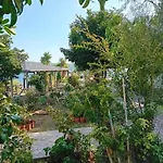 فيلة Katias