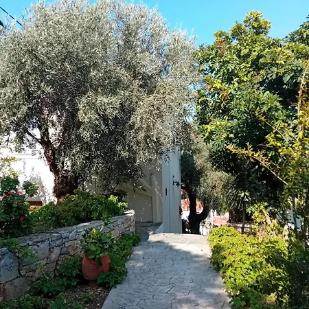 Villa Katias Kalamakia