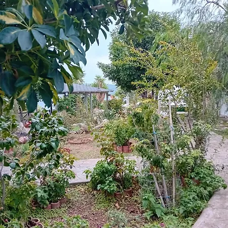 Villa Katias *