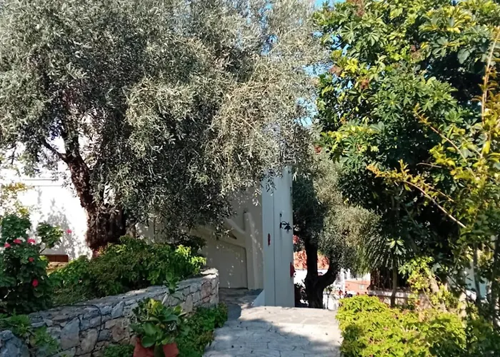 Vila Katias Alónnisos